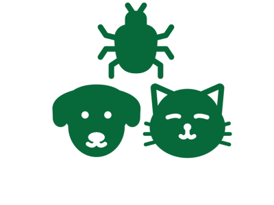 Dieren & insecten