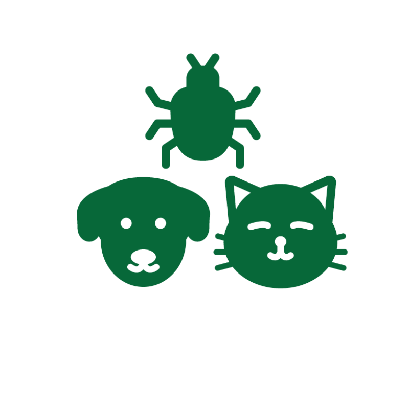 Dieren & insecten